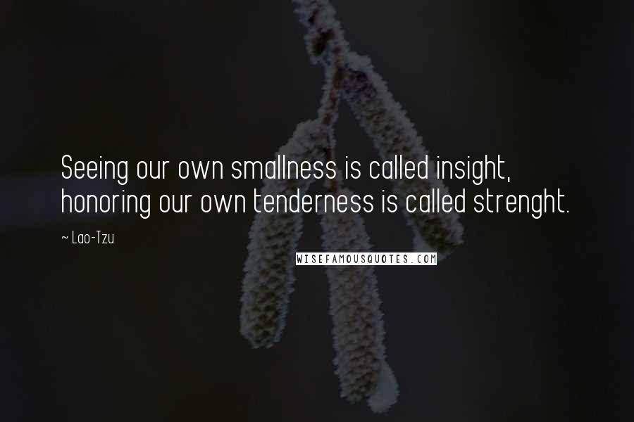 Lao-Tzu quotes: Seeing our own smallness is called insight, honoring our own tenderness is called strenght.