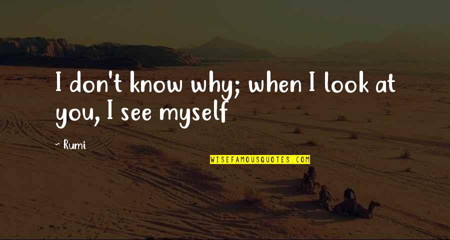 Laodicea Church Quotes By Rumi: I don't know why; when I look at