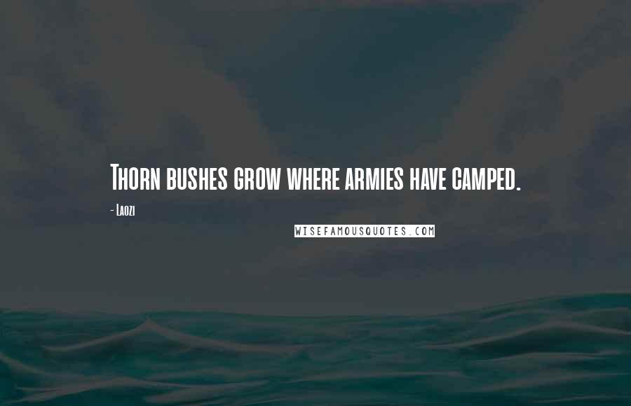 Laozi quotes: Thorn bushes grow where armies have camped.