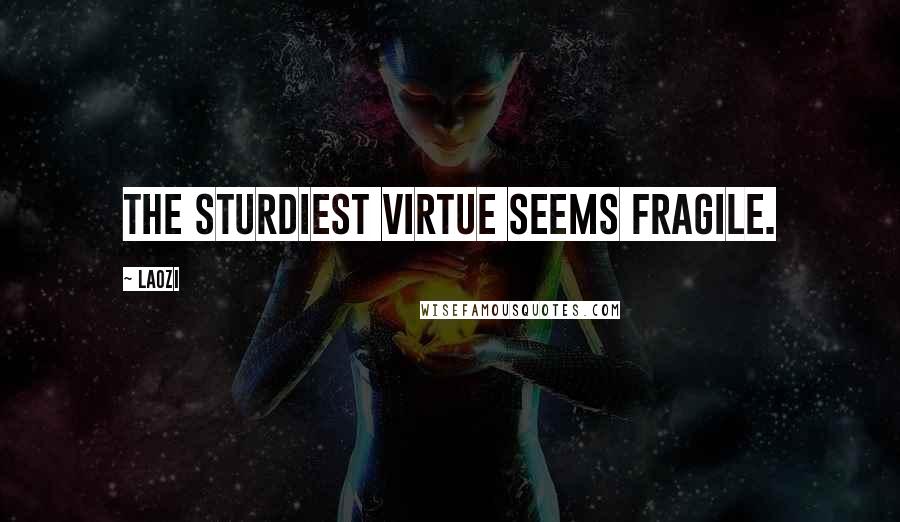 Laozi quotes: The sturdiest virtue seems fragile.