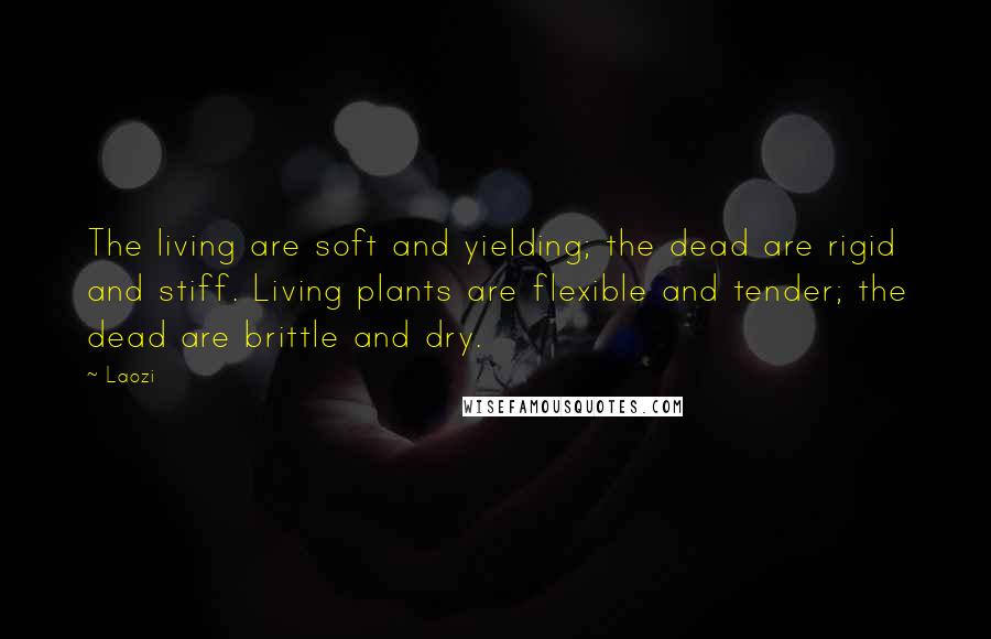 Laozi quotes: The living are soft and yielding; the dead are rigid and stiff. Living plants are flexible and tender; the dead are brittle and dry. Laozi quotes: The living are soft and yielding; the dead are rigid and stiff. Living plants are flexible and tender; the dead are brittle and dry.