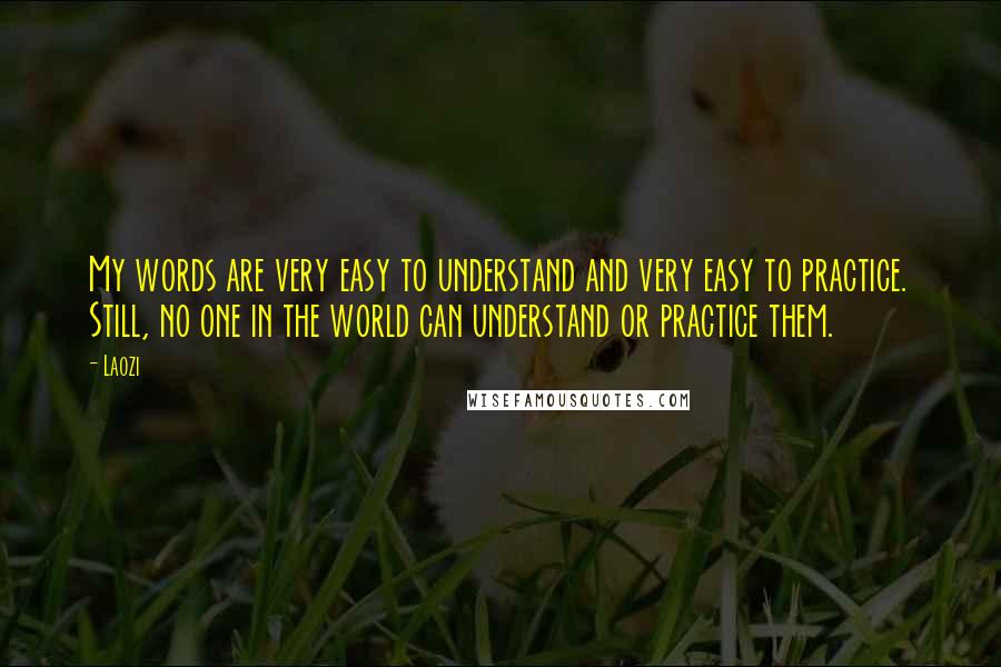 Laozi quotes: My words are very easy to understand and very easy to practice. Still, no one in the world can understand or practice them.