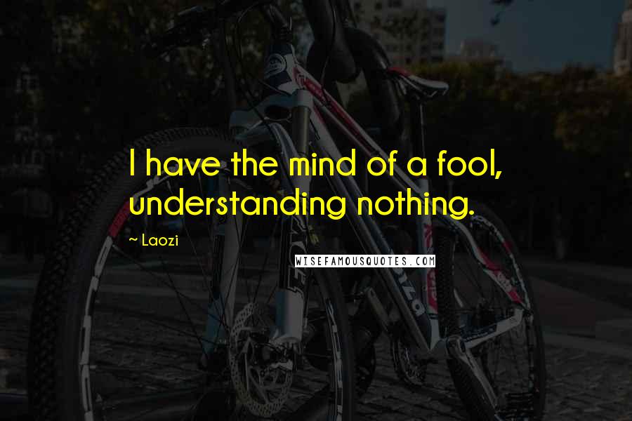 Laozi quotes: I have the mind of a fool, understanding nothing.