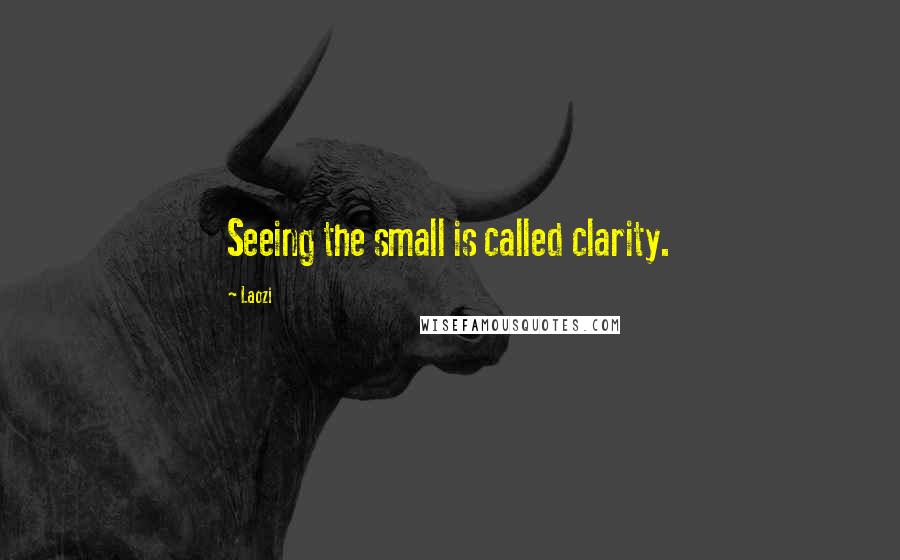 Laozi quotes: Seeing the small is called clarity.