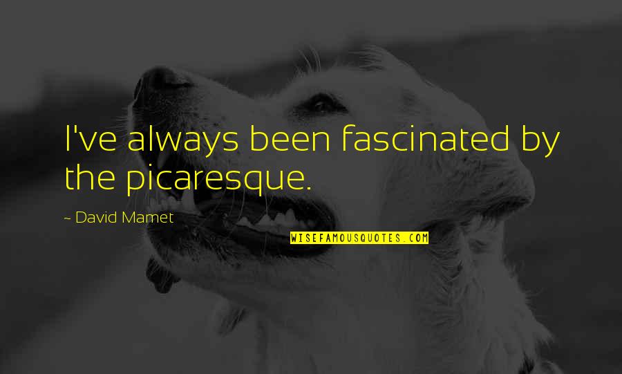 Lapangan Quotes By David Mamet: I've always been fascinated by the picaresque.