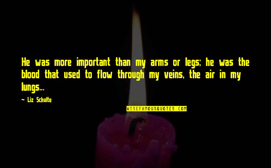 Lapova Quotes By Liz Schulte: He was more important than my arms or Lapova Quotes By Liz Schulte: He was more important than my arms or