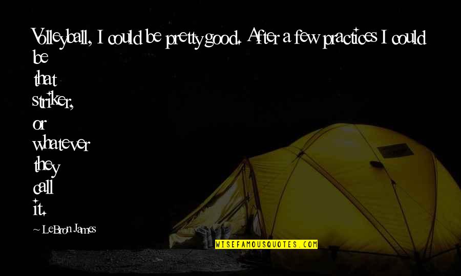 Lappes Quotes By LeBron James: Volleyball, I could be pretty good. After a