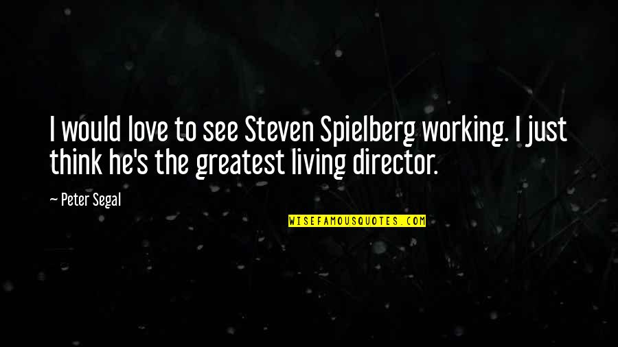 Lapte Gros Quotes By Peter Segal: I would love to see Steven Spielberg working.