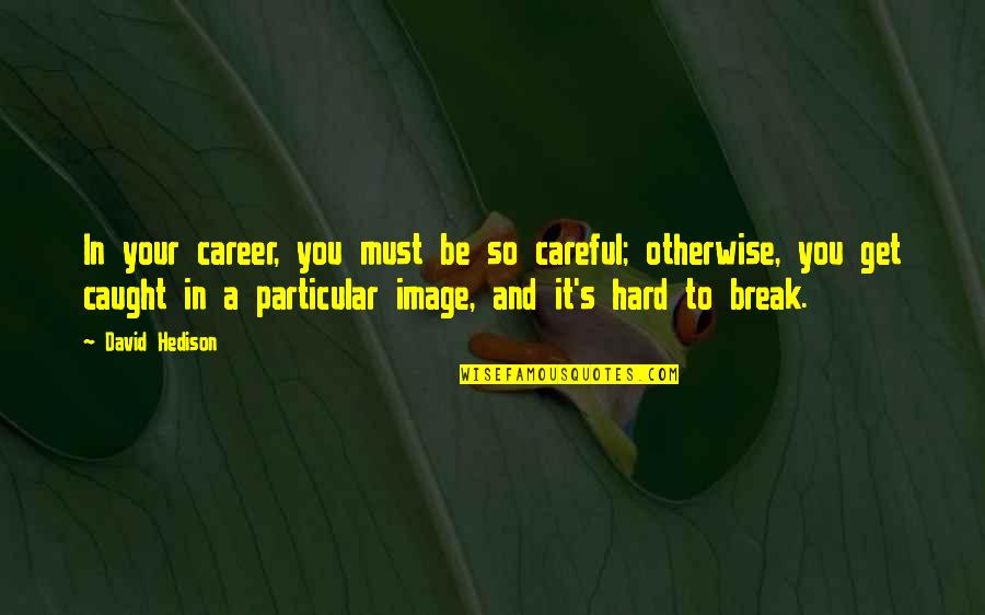 Laptop Envelope Quotes By David Hedison: In your career, you must be so careful;