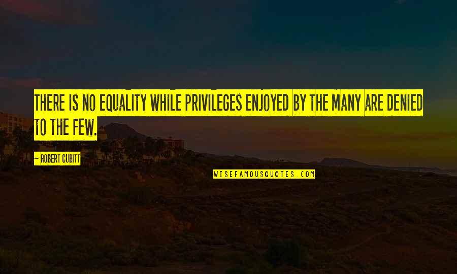 Lapukin Quotes By Robert Cubitt: There is no equality while privileges enjoyed by