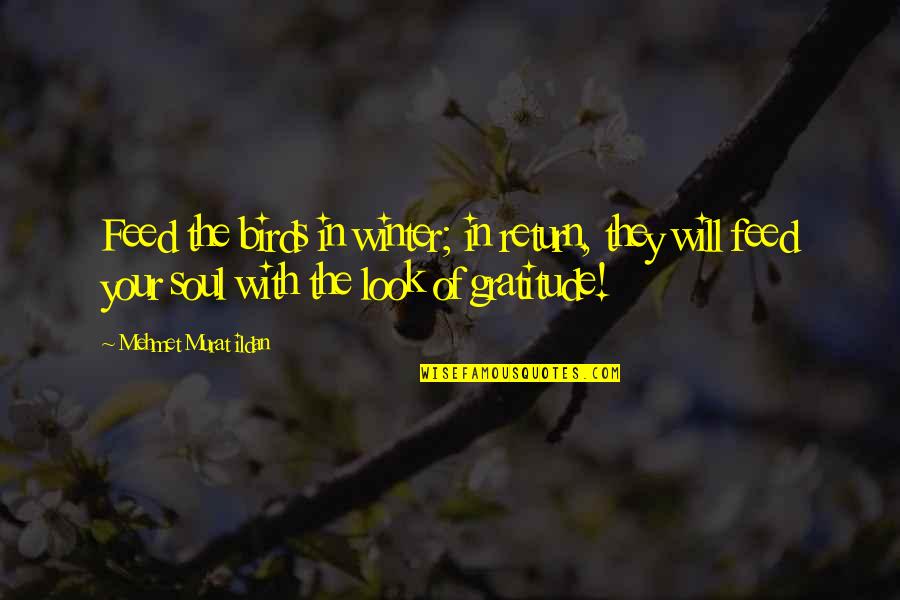 Lapusna Quotes By Mehmet Murat Ildan: Feed the birds in winter; in return, they Lapusna Quotes By Mehmet Murat Ildan: Feed the birds in winter; in return, they