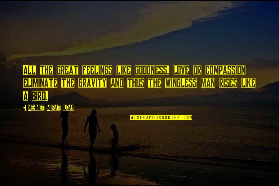 Lapusna Quotes By Mehmet Murat Ildan: All the great feelings like goodness, love or Lapusna Quotes By Mehmet Murat Ildan: All the great feelings like goodness, love or
