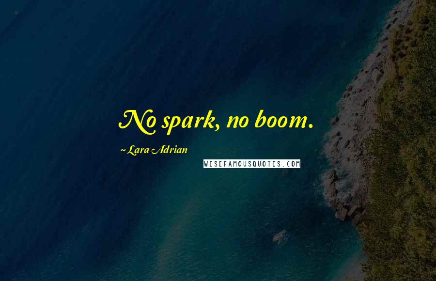 Lara Adrian quotes: No spark, no boom.
