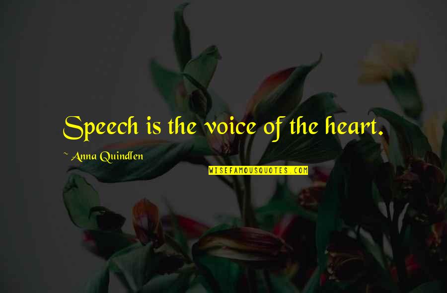 Laralyn Colestock Quotes By Anna Quindlen: Speech is the voice of the heart.