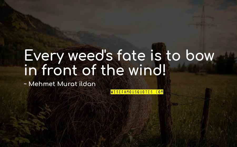 Laraque Quotes By Mehmet Murat Ildan: Every weed's fate is to bow in front