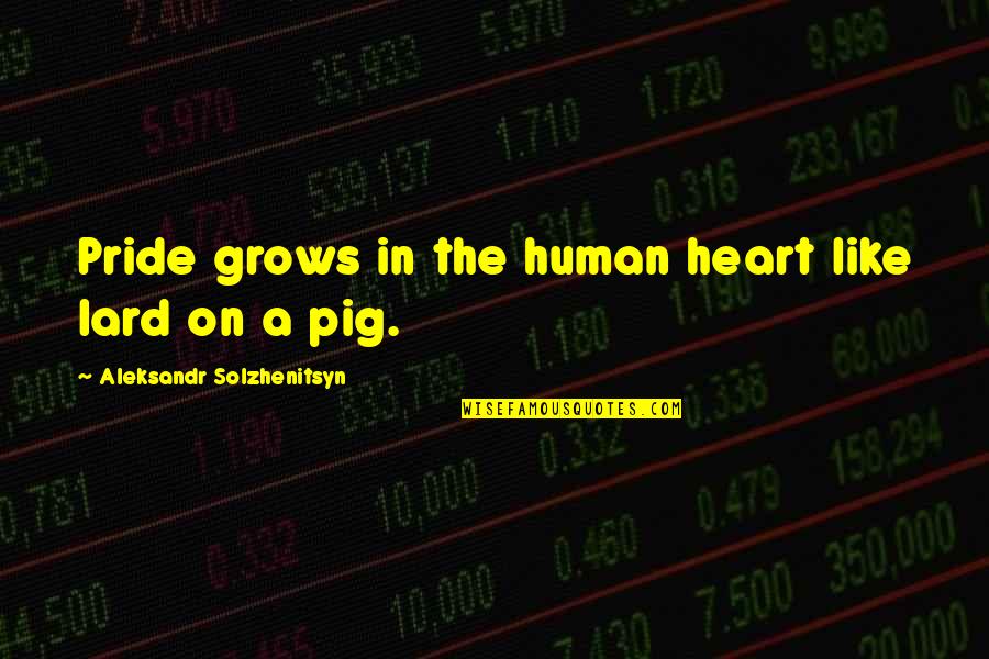 Lard Quotes By Aleksandr Solzhenitsyn: Pride grows in the human heart like lard