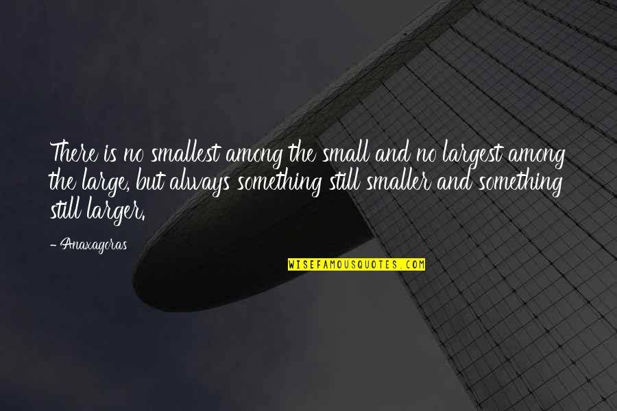 Large And Small Quotes By Anaxagoras: There is no smallest among the small and