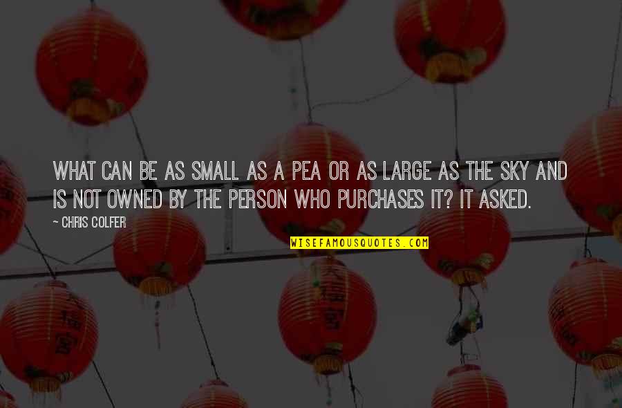 Large And Small Quotes By Chris Colfer: What can be as small as a pea