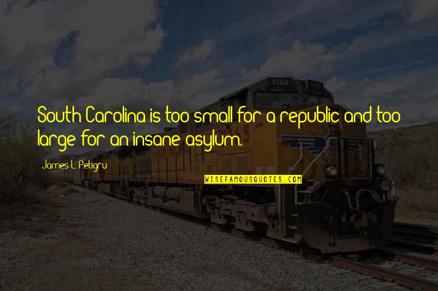 Large And Small Quotes By James L. Petigru: South Carolina is too small for a republic