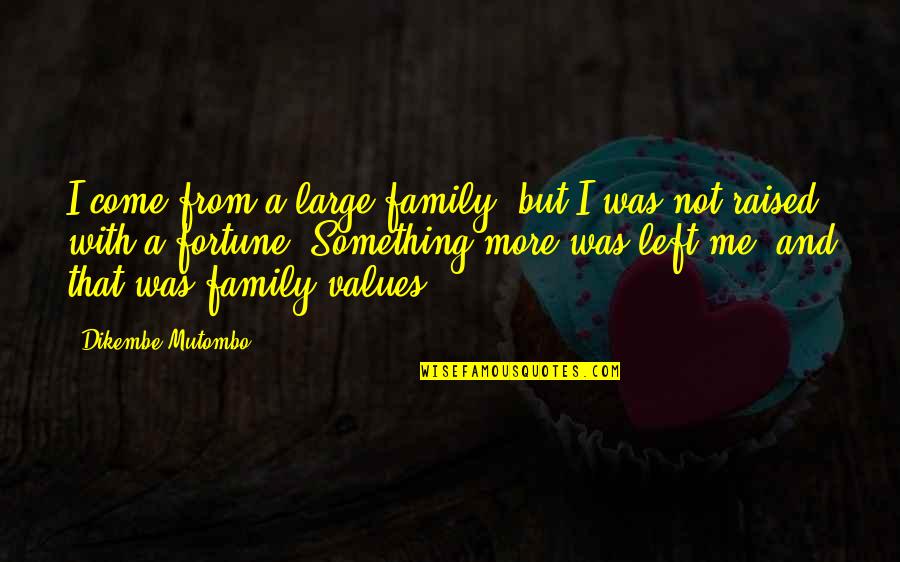 Large Family Quotes By Dikembe Mutombo: I come from a large family, but I Large Family Quotes By Dikembe Mutombo: I come from a large family, but I