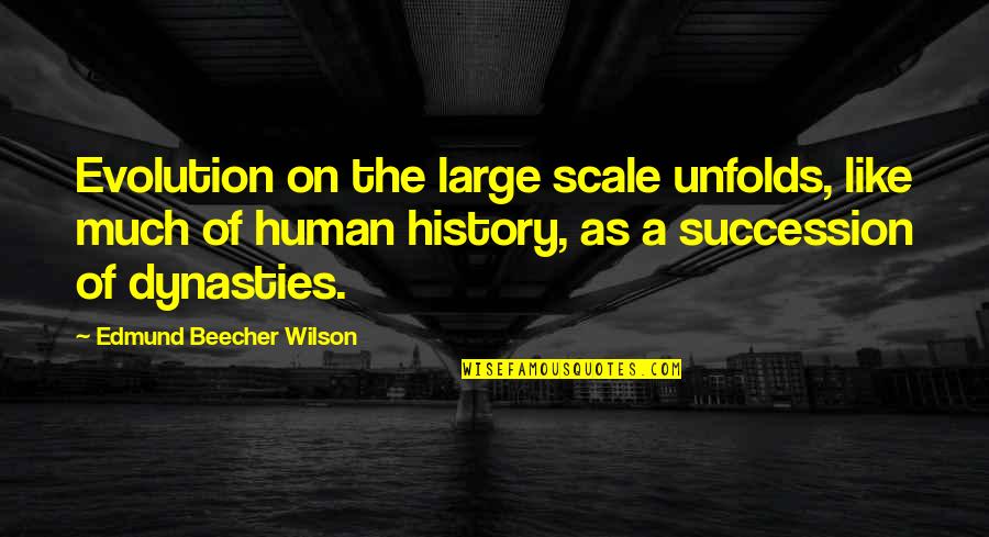 Large Scale Quotes By Edmund Beecher Wilson: Evolution on the large scale unfolds, like much