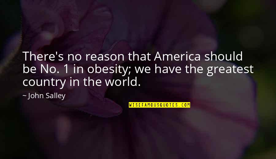 Large Wall Decals Quotes By John Salley: There's no reason that America should be No. Large Wall Decals Quotes By John Salley: There's no reason that America should be No.