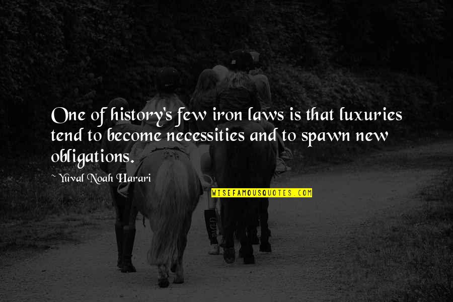 Largeish Quotes By Yuval Noah Harari: One of history's few iron laws is that