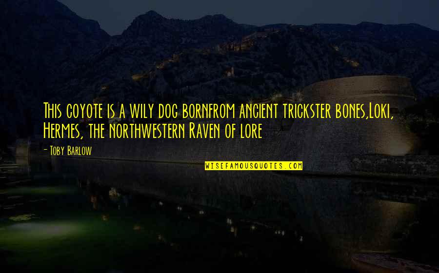 Largotex Quotes By Toby Barlow: This coyote is a wily dog bornfrom ancient Largotex Quotes By Toby Barlow: This coyote is a wily dog bornfrom ancient
