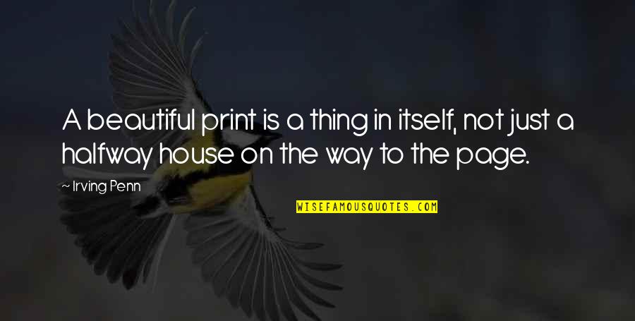 Larguchonas Quotes By Irving Penn: A beautiful print is a thing in itself,