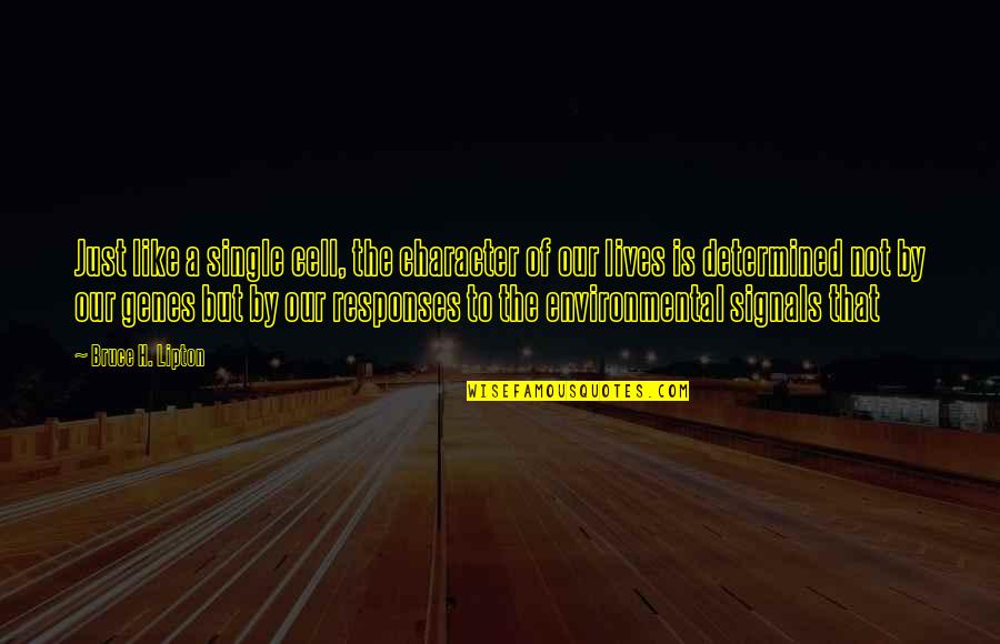Lariza De Lara Quotes By Bruce H. Lipton: Just like a single cell, the character of
