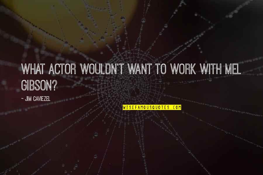 Larlar Bites Quotes By Jim Caviezel: What actor wouldn't want to work with Mel