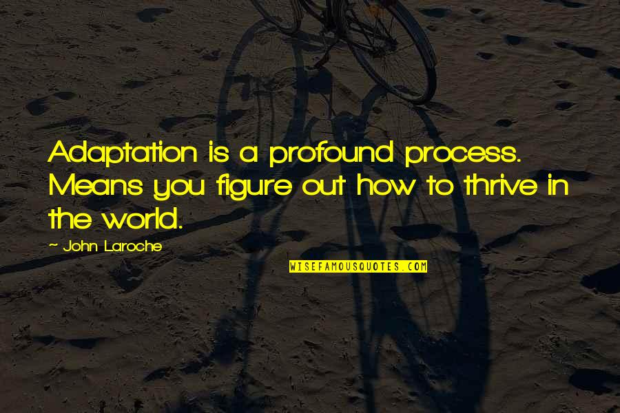 Laroche's Quotes By John Laroche: Adaptation is a profound process. Means you figure