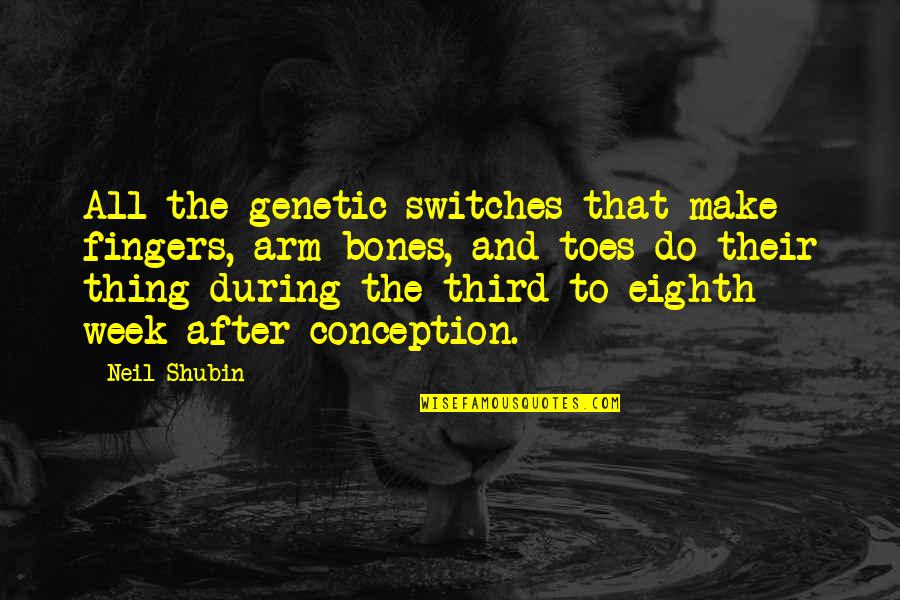 Laroux Gillespie Quotes By Neil Shubin: All the genetic switches that make fingers, arm
