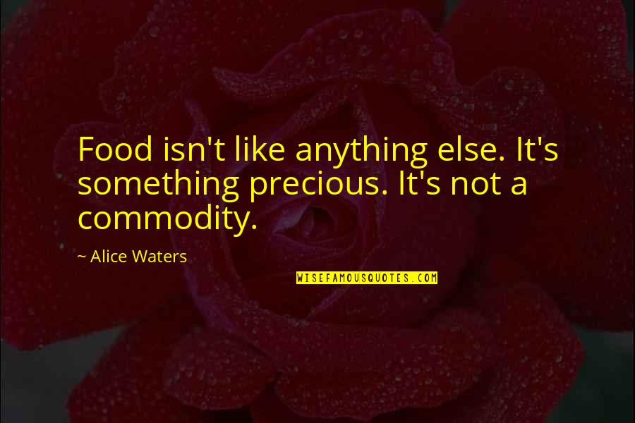 Larrabure Framing Quotes By Alice Waters: Food isn't like anything else. It's something precious.