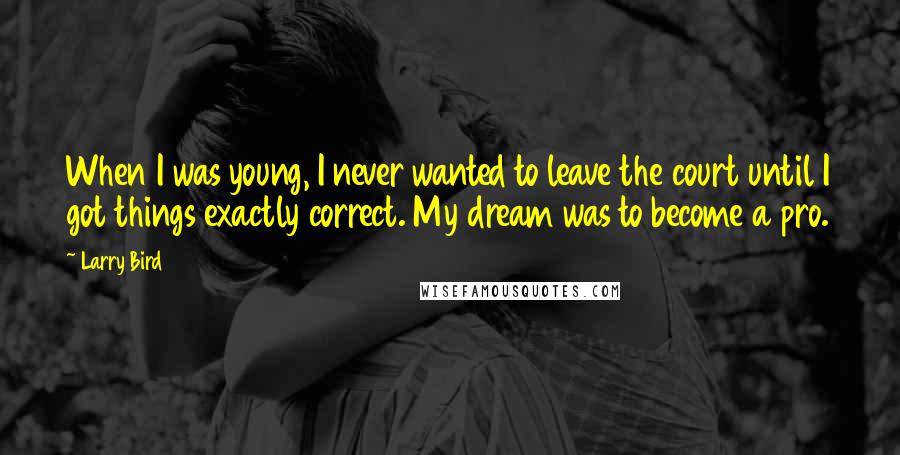 Larry Bird quotes: When I was young, I never wanted to leave the court until I got things exactly correct. My dream was to become a pro.