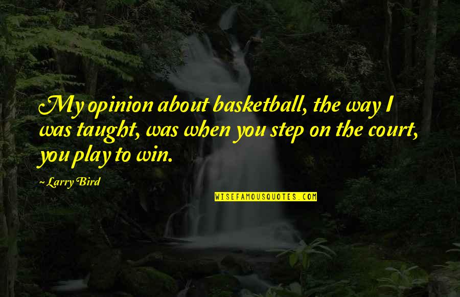 Larry Bird Quotes By Larry Bird: My opinion about basketball, the way I was