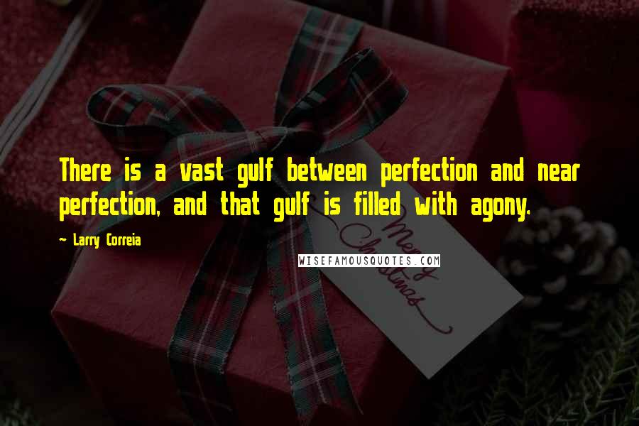 Larry Correia quotes: There is a vast gulf between perfection and near perfection, and that gulf is filled with agony.