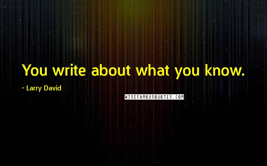 Larry David quotes: You write about what you know.