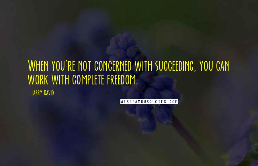 Larry David quotes: When you're not concerned with succeeding, you can work with complete freedom.