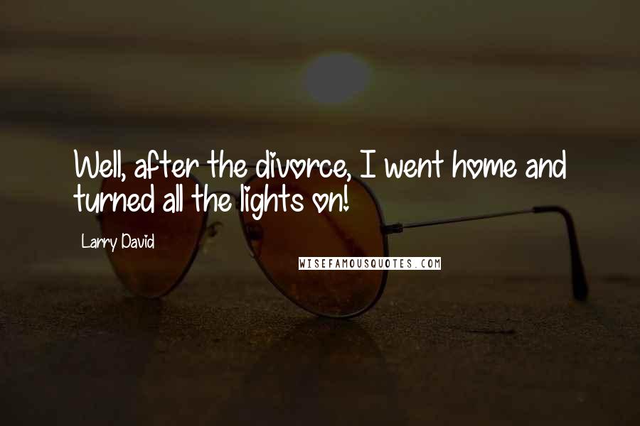 Larry David quotes: Well, after the divorce, I went home and turned all the lights on!