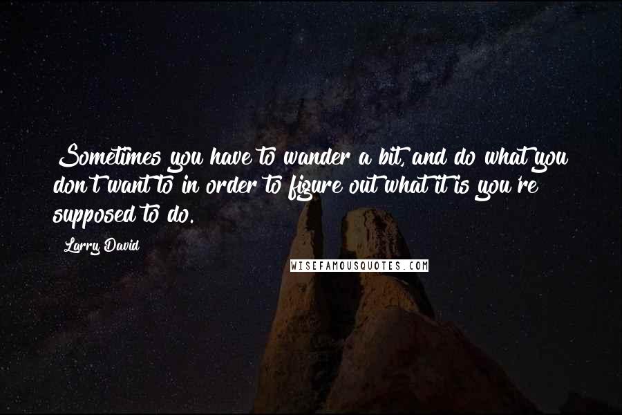 Larry David quotes: Sometimes you have to wander a bit, and do what you don't want to in order to figure out what it is you're supposed to do.