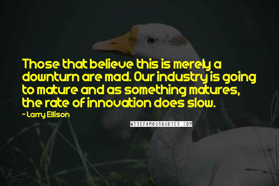 Larry Ellison quotes: Those that believe this is merely a downturn are mad. Our industry is going to mature and as something matures, the rate of innovation does slow.