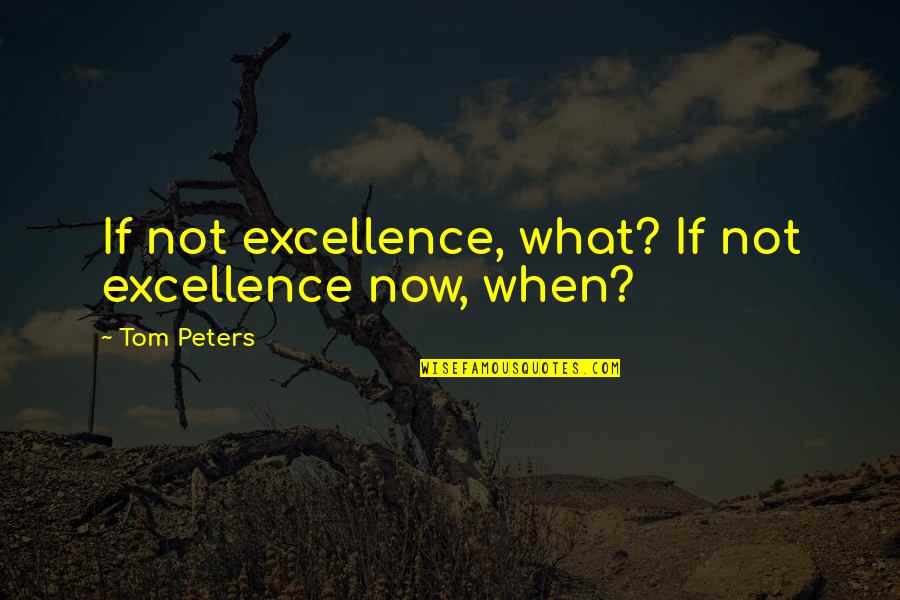 Larry Gelbart Quotes By Tom Peters: If not excellence, what? If not excellence now,