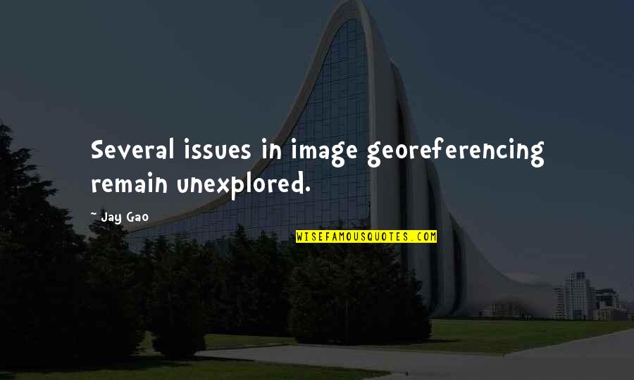 Larry Lockman Quotes By Jay Gao: Several issues in image georeferencing remain unexplored.