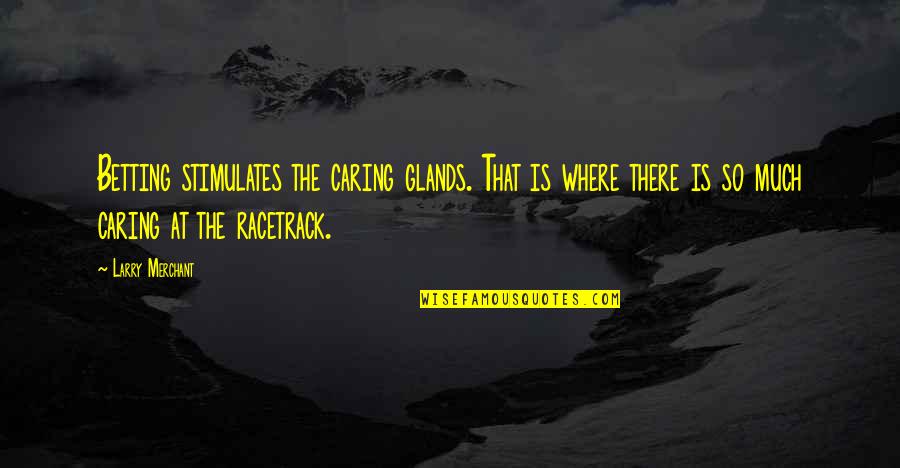 Larry Merchant Quotes By Larry Merchant: Betting stimulates the caring glands. That is where Larry Merchant Quotes By Larry Merchant: Betting stimulates the caring glands. That is where