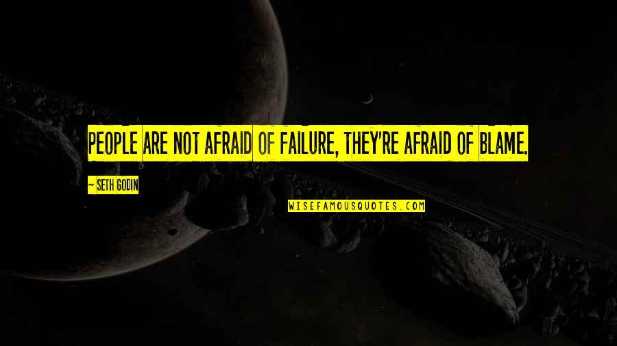 Larry Sabato Quotes By Seth Godin: People are not afraid of failure, they're afraid