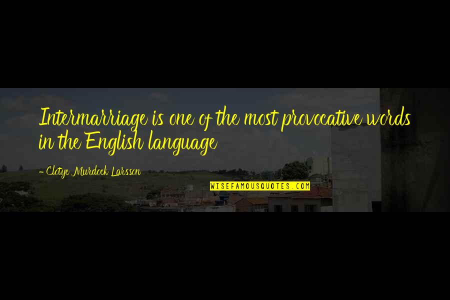 Larsson Quotes By Clotye Murdock Larsson: Intermarriage is one of the most provocative words Larsson Quotes By Clotye Murdock Larsson: Intermarriage is one of the most provocative words