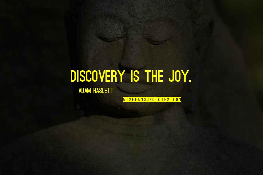 Larusso Quotes By Adam Haslett: Discovery is the joy.