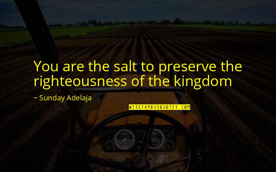 Larynx Model Quotes By Sunday Adelaja: You are the salt to preserve the righteousness
