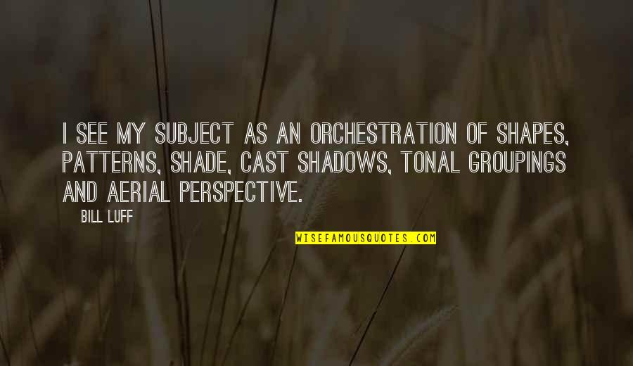 Lasairfh Ona One Penny Portion Feedback Quotes By Bill Luff: I see my subject as an orchestration of